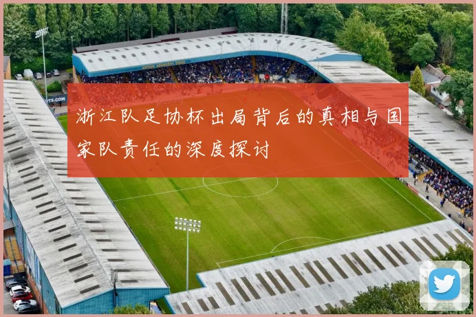 浙江队足协杯出局背后的真相与国家队责任的深度探讨